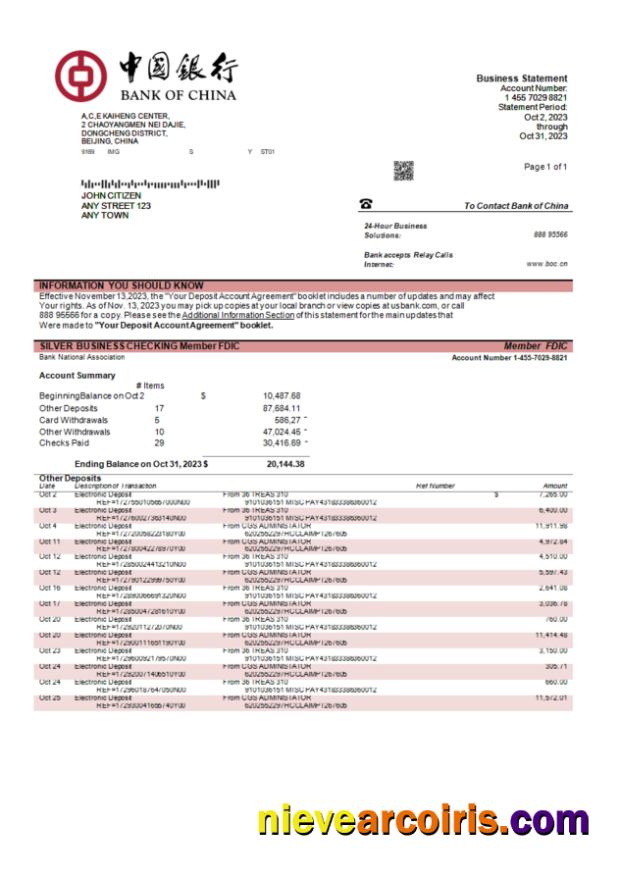 Bank of China enterprise statement